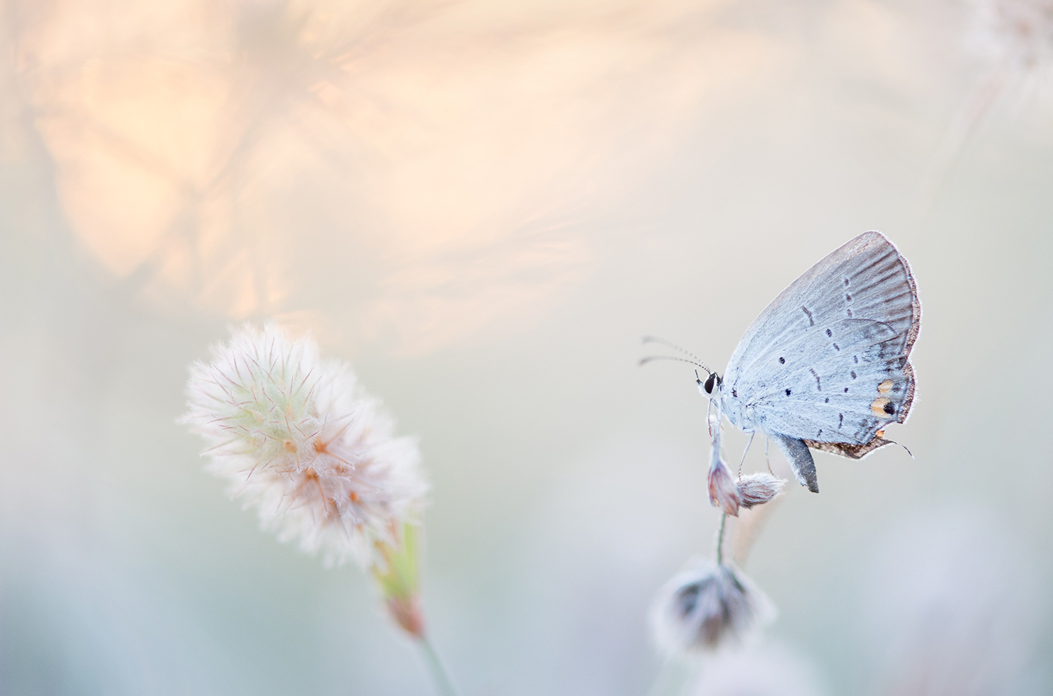 header-rabary-pompes-funebres